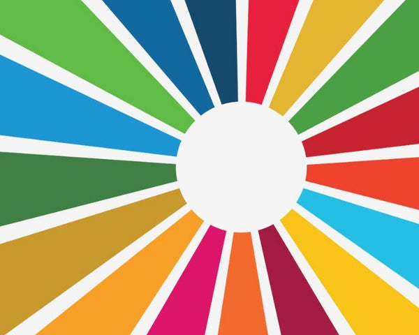 Sustainable Development Goals - ADAX
